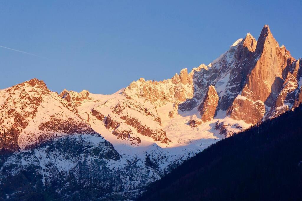 Modern 2Br 5* Pool Gym Spa Garage Mont-Blanc View Chamonix Eksteriør billede