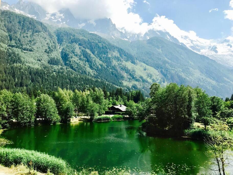 Modern 2Br 5* Pool Gym Spa Garage Mont-Blanc View Chamonix Eksteriør billede